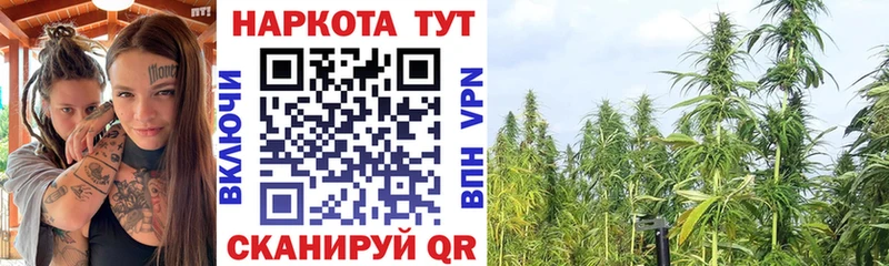 Названия наркотиков Кимры kraken ССЫЛКА Alpha-PVP ГАШ Мефедрон Канабис