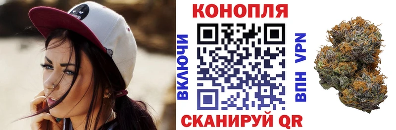 Каннабис сатива  Кимры 